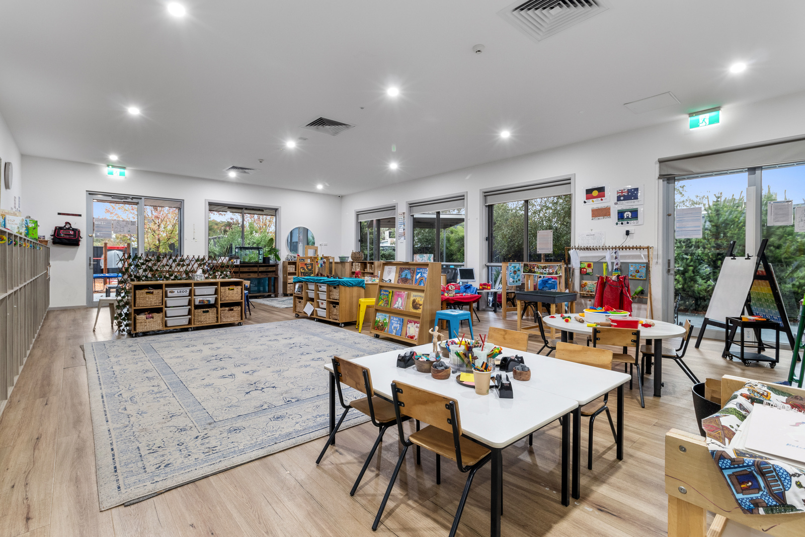 Meerkats Room