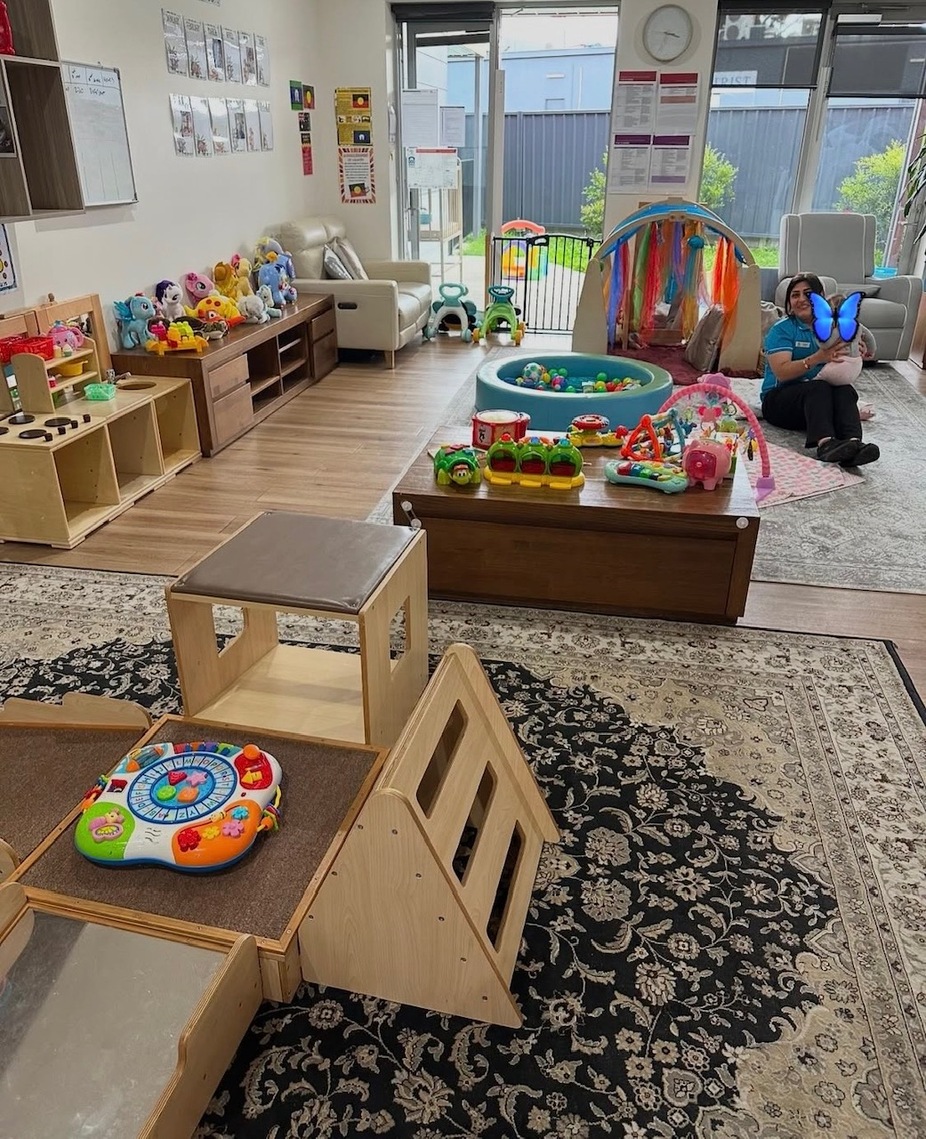 Dolphins Room