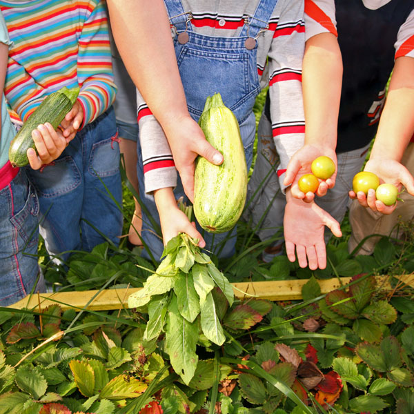 Collard's Childcare & Kindergarten - Mill Park - Nutrition